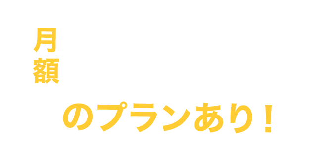 月額25万円〜のプランあり!