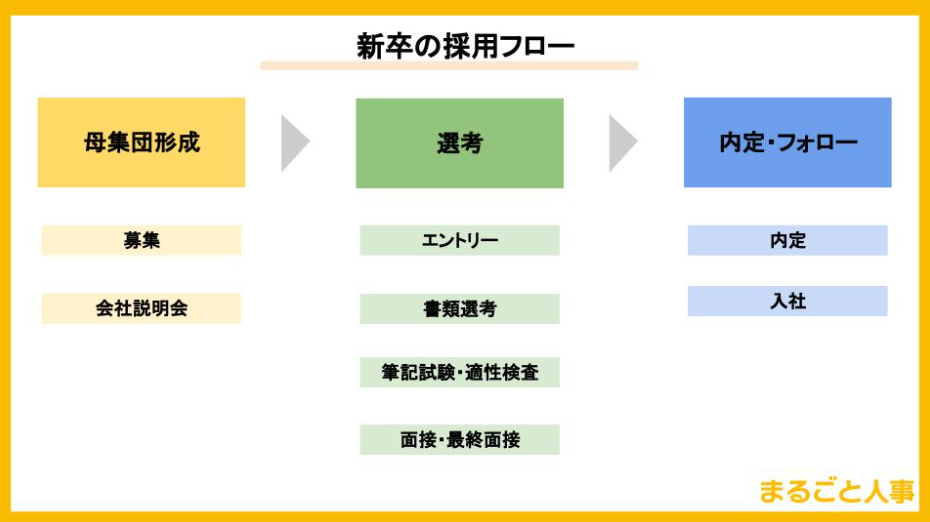 新卒の採用フロー